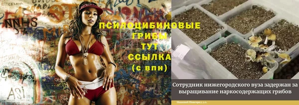 прущая мука Богородск