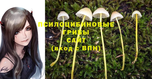 винт Богданович