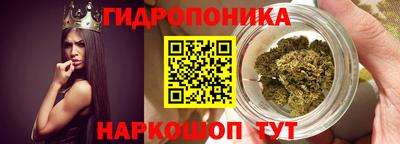 мдпв Боровичи