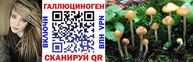 Галлюциногенные грибы Magic Shrooms купить кракен как войти Великие Луки