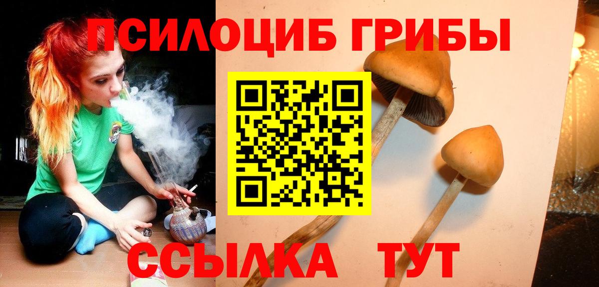 Галлюциногенные грибы мицелий Великие Луки