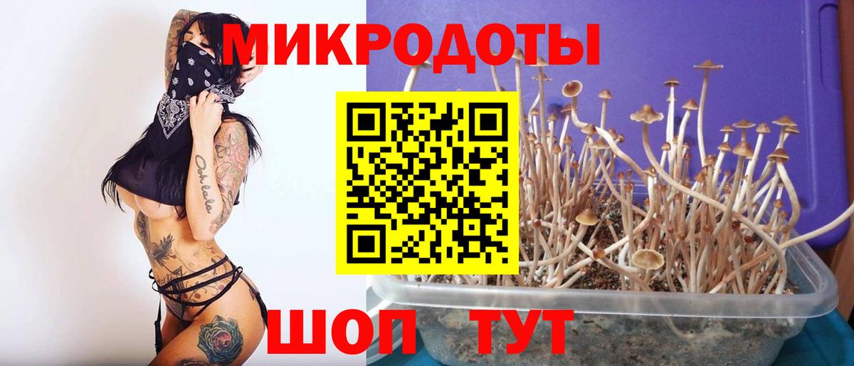 Псилоцибиновые грибы Magic Shrooms  Галлюциногенные грибы мицелий  Великие Луки  Вход с VPN 